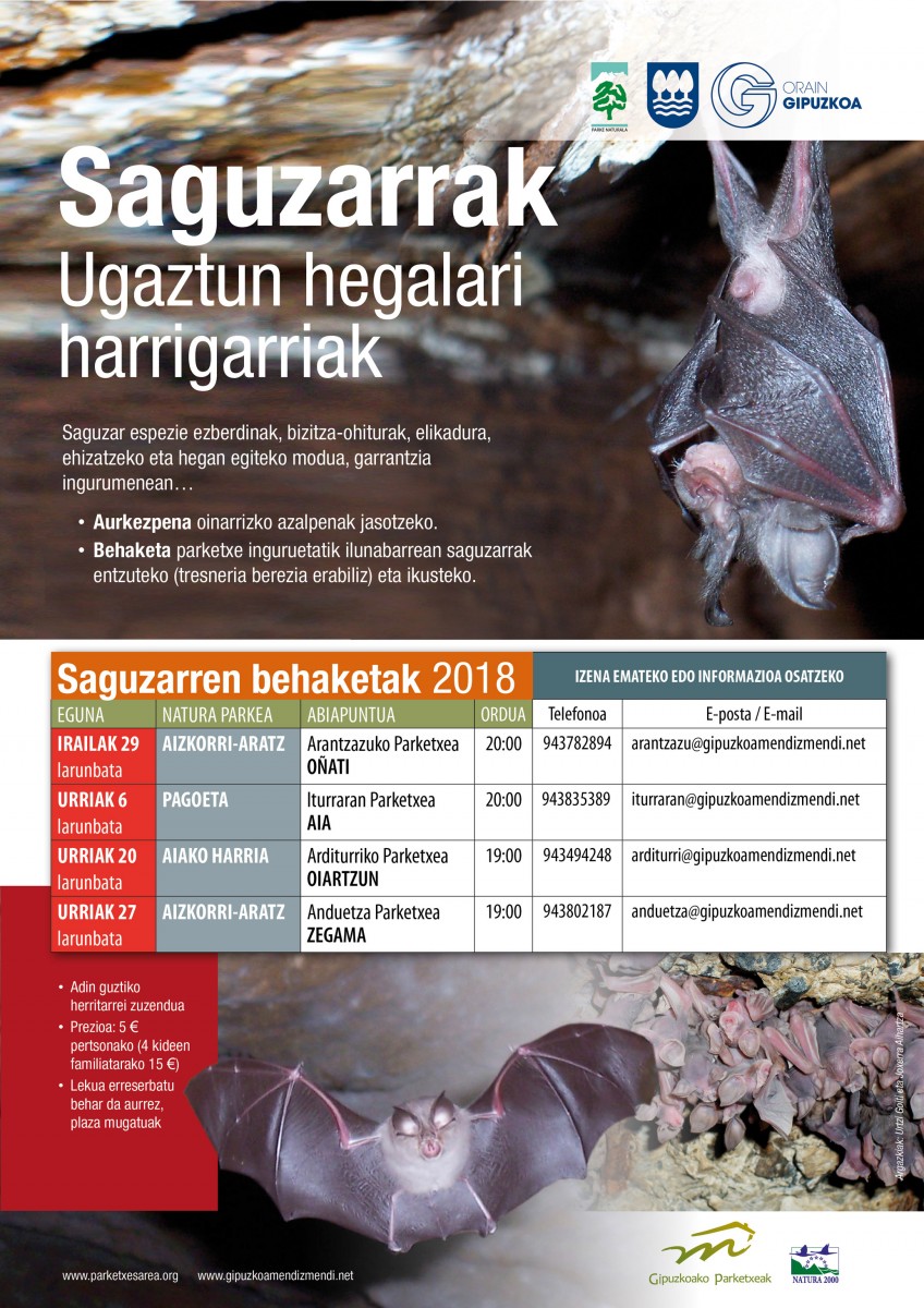 Saguzarrei buruz ikasteko aukera, Arditurrin