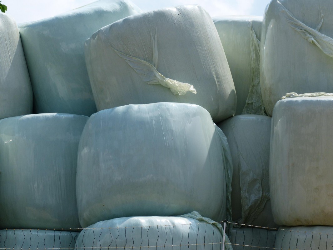 Belar-bolen silo plastikoa bilduko dute ostegunean
